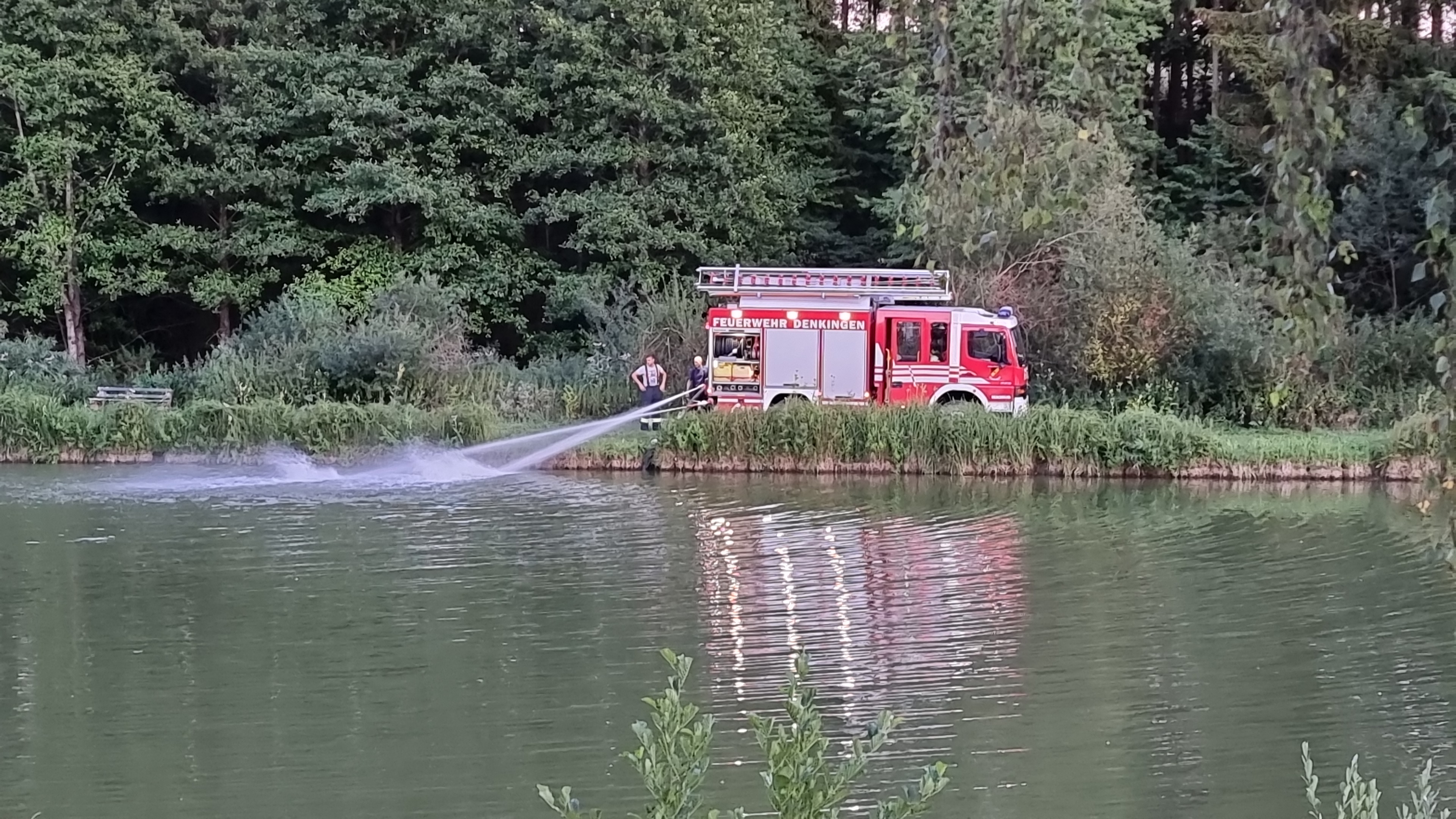 Galeriebild: IMG 20220810 WA0031